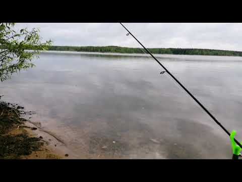 Видео: Лещи по 1 кг., на фидер, на будерброд. Белоярское водохранилище...