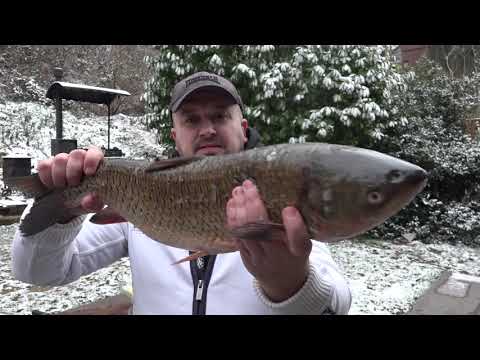 Видео: ЛУЧШИЙ МАРИНАД НА ШАШЛЫК ИЗ КАРПА рыба на гриле