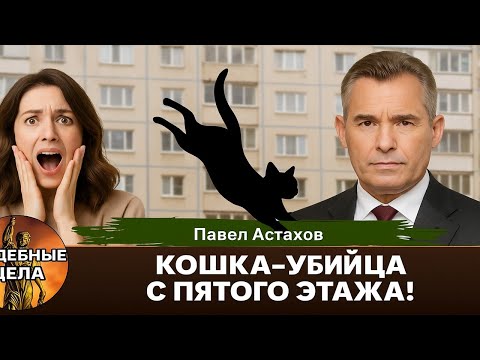 Видео: Кошку сбросили на голову! Судебные дела с Павлом Астаховым/Как Избежать Судебные дела?