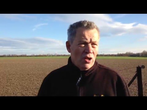 Видео: Как построить голубятню