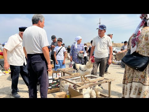 Видео: БУНДАЙ БАЗАР КОРО ЭЛЭКСИЗ АЗИЯДА N1 ТООК БАЗАР