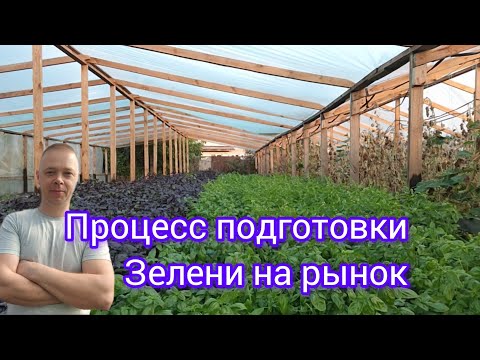 Видео: Продаем на рынке то что вырастили