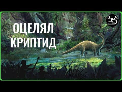 Видео: Последният ЖИВ динозавър - Мокеле Мбембе