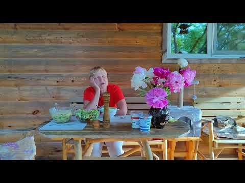 Видео: КОТоБудни с пионами, 25.06. 2023 г.