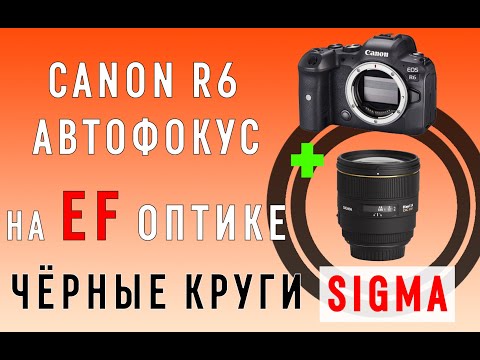 Видео: Обзор работы автофокуса canon EOS R6  на старых EF объективах. Черные круги от стекол Sigma