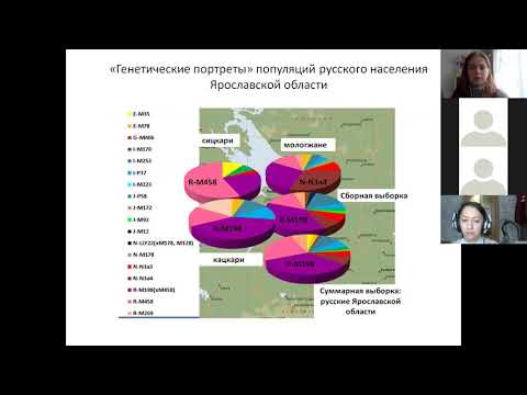 Видео: Происхождение сицкарей