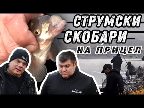 Видео: Струмски СКОБАРИ на фокус / Как да как да ги хванем в студената вода?