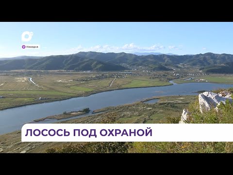 Видео: В Находке Росрыболовство активно борется с браконьерами