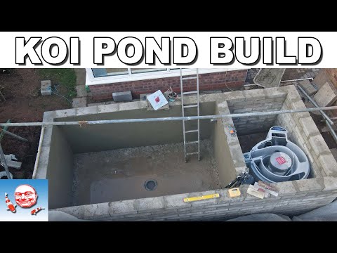 Видео: Стюарты строят новый пруд.