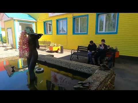 Видео: Прогулка по Никольску. Камелия и подвесной мост. Вологодская область. Russian north.