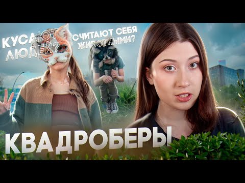 Видео: что не так с КВАДРОБИКОЙ? // за что её НЕНАВИДЯТ?