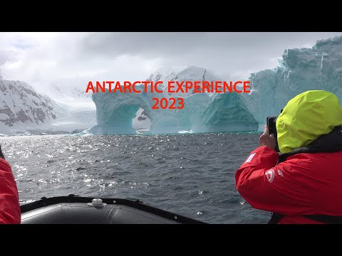 Видео: Антарктический опыт