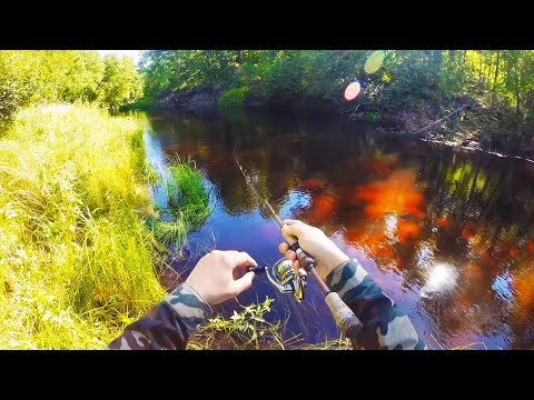 Видео: ПОПАЛ В РАЙ!!! Рыбалка на лесной МИКРОРЕЧКЕ. Здесь полно рыбы и диких зверей