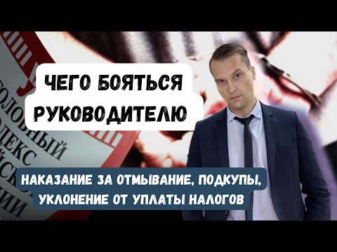 Видео: Уголовная ответственность генерального директора ООО и ИП #ГруппаФинансы