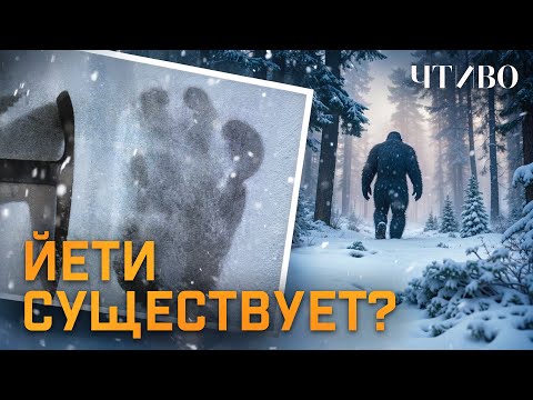 Видео: Снежный человек: Есть ли он на самом деле? @chtivomag