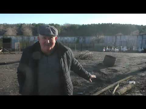 Видео: Ф. 213. 1ч