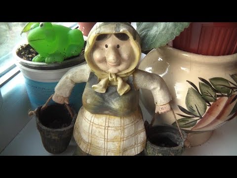 Видео: Мои комнатные цветы Весна Май 2018