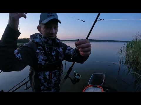 Видео: ЖОР КРУПНЫХ ЛИНЕЙ,ЛЕЩЕЙ НА ПОПЛАВОК!ТАКОЕ НЕ ЗАБЫТЬ.РЫБАЛКА НА ПОПЛАВОК В ИЮНЕ.