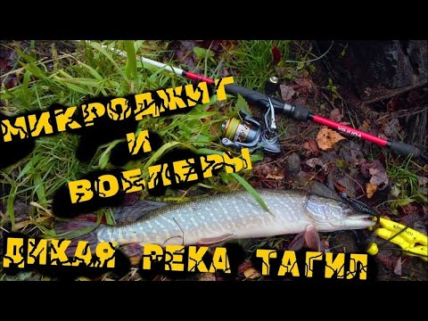 Видео: Рыбалка на реке Тагил. Джиг vs Воблеры. Как подобрать ключ к рыбе. Ищем стоянки щуки и окуня.