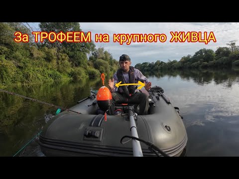 Видео: Рыбалка 2025, В поисках ТРОФЕЙНОГО СОМА