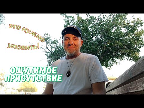 Видео: это нужно Уловить. ощутимое Присутствие.
