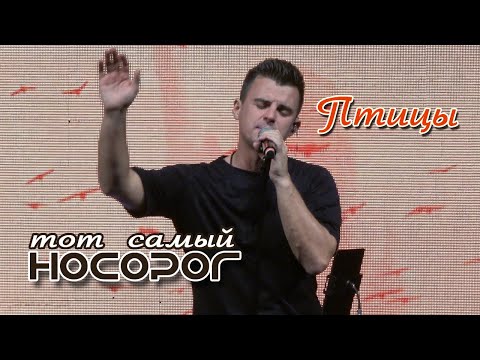 Видео: Кирилл Туриченко - Птицы (Live) / Тот самый НОСОРОГ