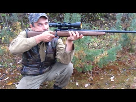 Видео: Орсис 120. Русская точная винтовка !!   410 м..!// Orsis 120. Accurate Russian rifle!  410 meters..