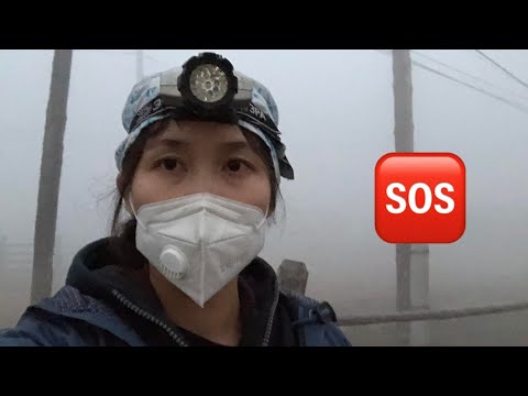 Видео: Работа добровольцев во время лесных пожаров в Якутии