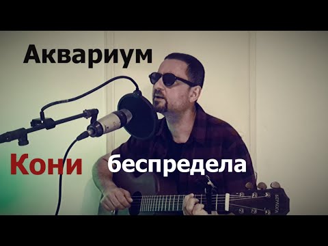 Видео: Кони беспредела(кавер)     Аквариум