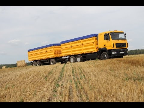 Видео: Зерновоз МАЗ-6501А8 Колос в динамике
