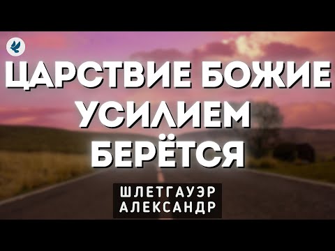 Видео: Царствие Божие усилием берётся. Шлетгауэр А.Ю. Проповедь МСЦ ЕХБ