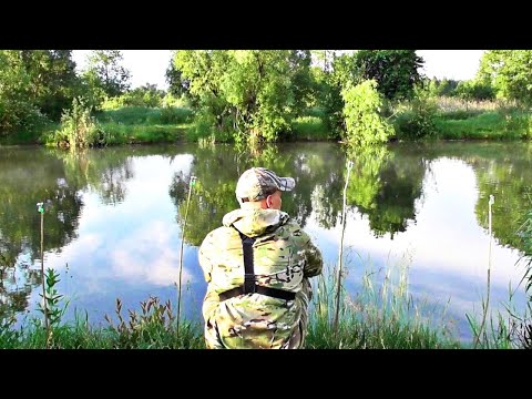 Видео: Рыбалка на закидушки. Ловля карася на утренней зорьке. Рыбалка с ночевкой. Карась на пенопласт.
