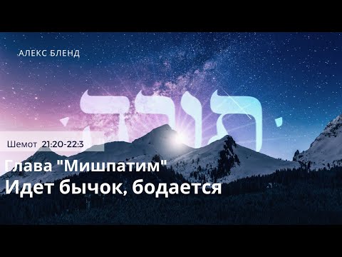 Видео: Недельная глава Мишпатим. Идет бычок бодается. Шемот 21:20-22:3