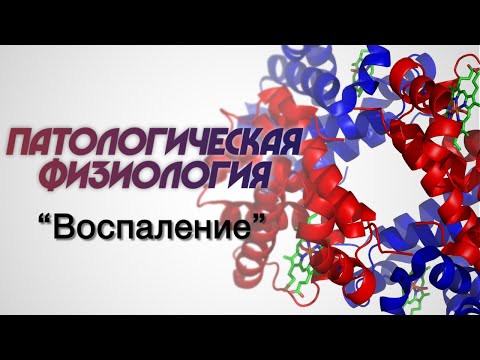 Видео: Патологическая физиология №3 "Воспаление"