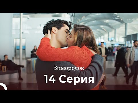Видео: Зимородок 14 Cерия (Русский дубляж) (4K)