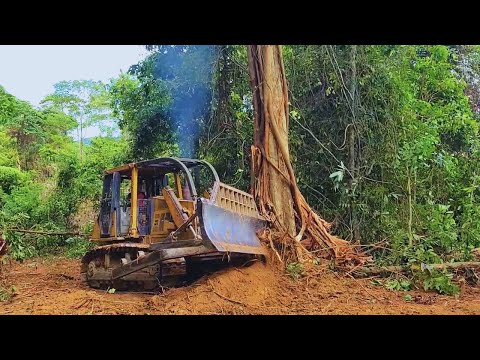 Видео: Самый квалифицированный оператор в тушена