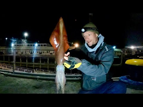 Видео: ЛОВЛЯ КАЛЬМАРОВ | ОНИ СТАНОВЯТСЯ БОЛЬШЕ | ЛОВЛЯ КАЛЬМАРОВ НА БЛЕСТЯЩИЕ ПРИМАНКИ