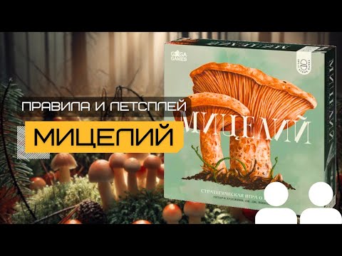 Видео: МИЦЕЛИЙ (MYCELIA) 🍄‍🟫 – правила и летсплей настольной игры