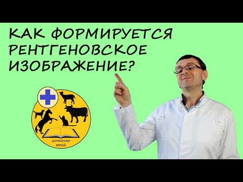 Видео: Как формируется рентгеновское изображение?