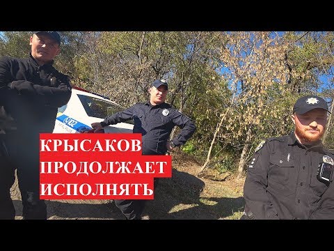 Видео: СНОВА ПОПАЛАСЬ НА ПУТИ ДИКАЯ ОБЕЗЬЯНА КРЫСАКОВ