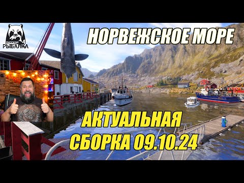 Видео: НОРВЕЖСКОЕ МОРЕ, ФАРМ НА 34 БАНКЕ, АКТУАЛЬНАЯ СБОРКА 09.10.24 / РУССКАЯ РЫБАЛКА 4