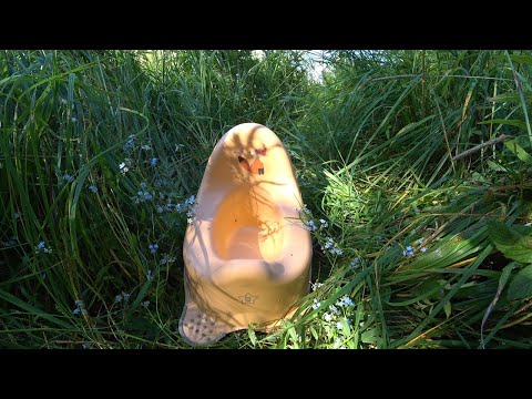 Видео: Звуки воды чтобы ребёнок пописал в горшок Журчание воды настоящий живой звук.