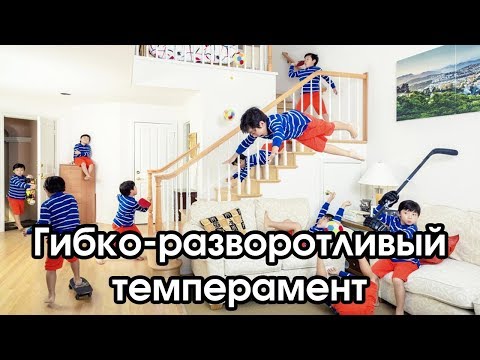 Видео: Соционика: гибко-разворотливый темперамент