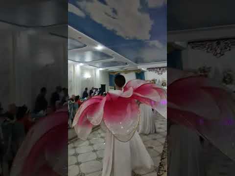 Видео: Гүл/ биі