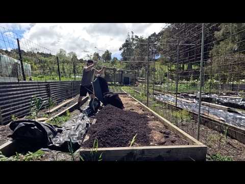 Видео: Пора заняться садоводством серьёзно | NZ farmvlog
