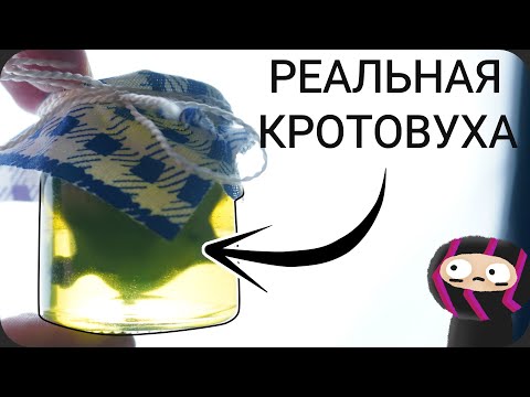 Видео: Сделал КРОТОВУХУ