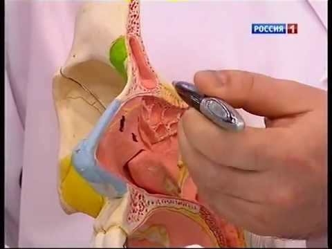 Видео: Чем опасен фронтит?