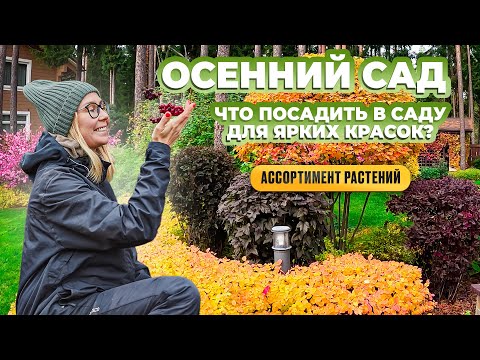 Видео: Осенний сад. Что посадить в саду для ярких красок? Ассортимент растений