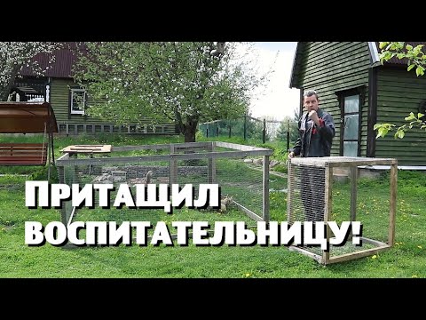 Видео: Воспитательницу детсада пришлось ловить и нести на руках!