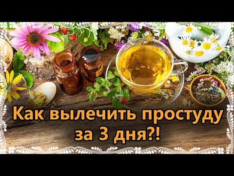 Видео: КАК ВЫЛЕЧИТЬ ПРОСТУДУ ЗА 3 ДНЯ?! БЕЗ ТАБЛЕТОК И ЛЕКАРСТВ!